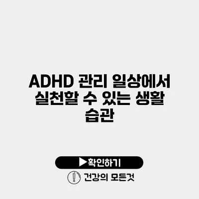 ADHD 관리 일상에서 실천할 수 있는 생활 습관