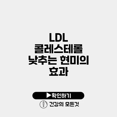 LDL 콜레스테롤 낮추는 현미의 효과