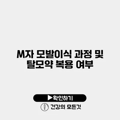 M자 모발이식 과정 및 탈모약 복용 여부