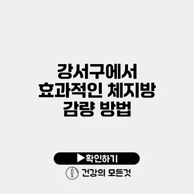 강서구에서 효과적인 체지방 감량 방법