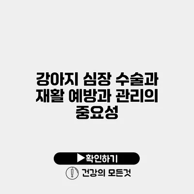강아지 심장 수술과 재활 예방과 관리의 중요성