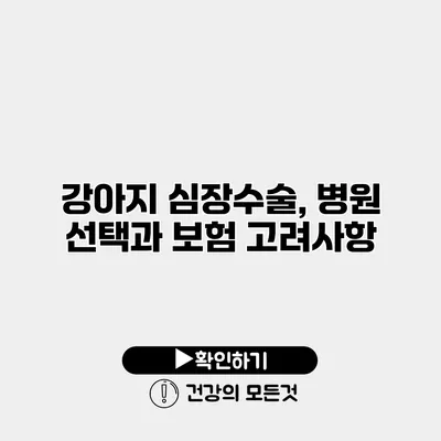 강아지 심장수술, 병원 선택과 보험 고려사항