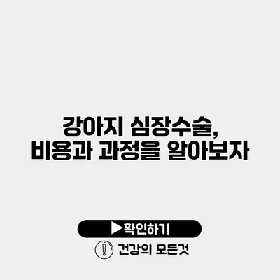 강아지 심장수술, 비용과 과정을 알아보자