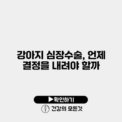 강아지 심장수술, 언제 결정을 내려야 할까?