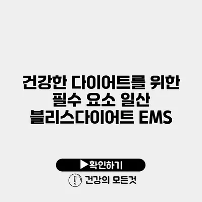 건강한 다이어트를 위한 필수 요소 일산 블리스다이어트 EMS