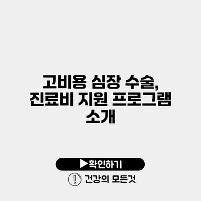 고비용 심장 수술, 진료비 지원 프로그램 소개