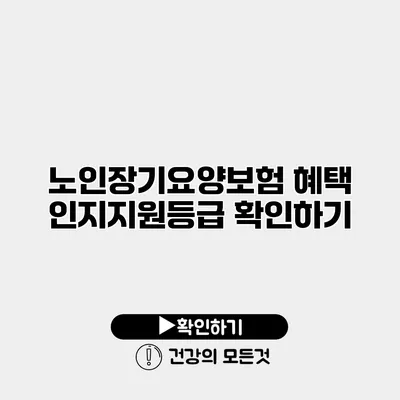노인장기요양보험 혜택 인지지원등급 확인하기