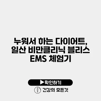 누워서 하는 다이어트, 일산 비만클리닉 블리스 EMS 체험기