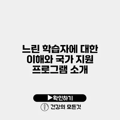 느린 학습자에 대한 이해와 국가 지원 프로그램 소개