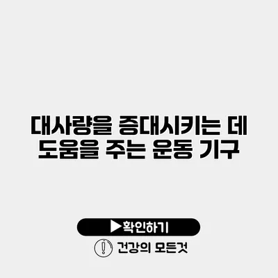 대사량을 증대시키는 데 도움을 주는 운동 기구