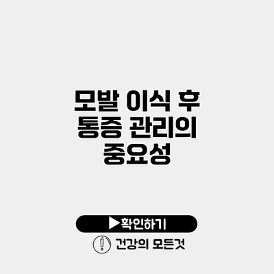 모발 이식 후 통증 관리의 중요성