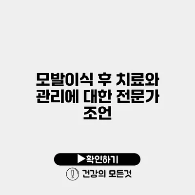 모발이식 후 치료와 관리에 대한 전문가 조언