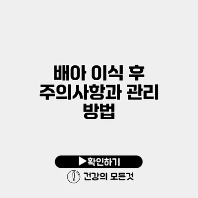 배아 이식 후 주의사항과 관리 방법