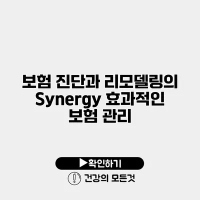 보험 진단과 리모델링의 Synergy 효과적인 보험 관리