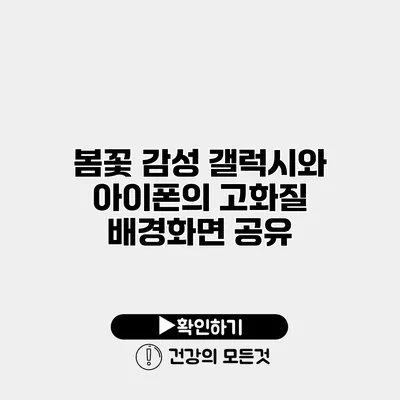 봄꽃 감성 갤럭시와 아이폰의 고화질 배경화면 공유