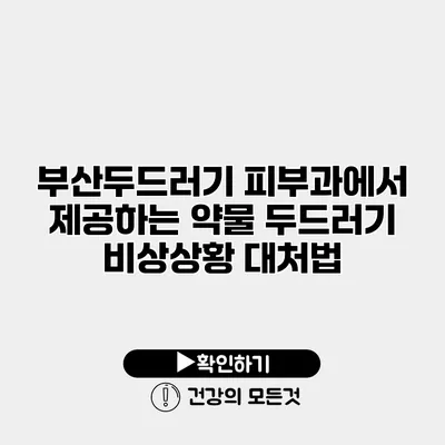 부산두드러기 피부과에서 제공하는 약물 두드러기 비상상황 대처법