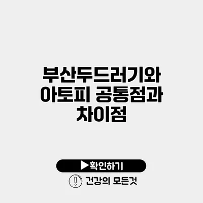 부산두드러기와 아토피 공통점과 차이점