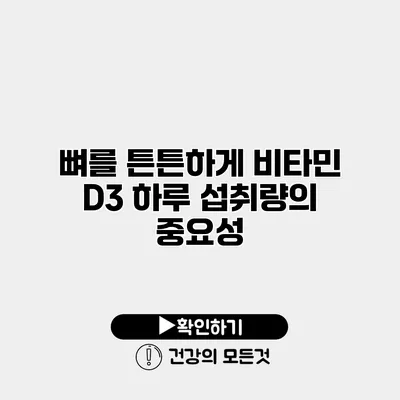 뼈를 튼튼하게 비타민 D3 하루 섭취량의 중요성