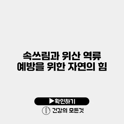 속쓰림과 위산 역류 예방을 위한 자연의 힘