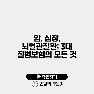 암, 심장, 뇌혈관질환; 3대 질병보험의 모든 것