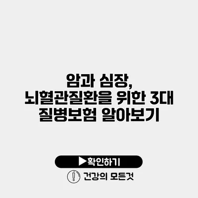 암과 심장, 뇌혈관질환을 위한 3대 질병보험 알아보기