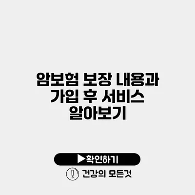 암보험 보장 내용과 가입 후 서비스 알아보기
