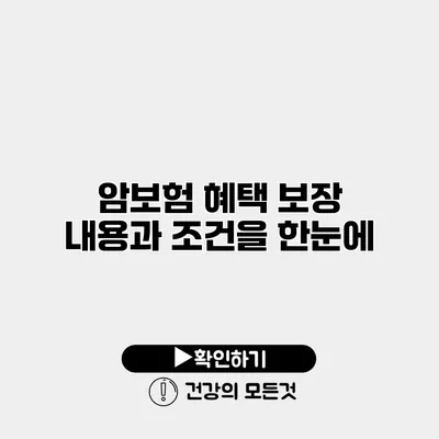 암보험 혜택 보장 내용과 조건을 한눈에