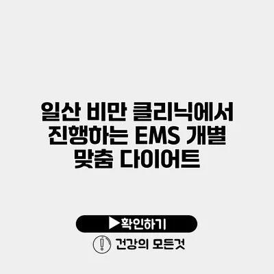 일산 비만 클리닉에서 진행하는 EMS 개별 맞춤 다이어트