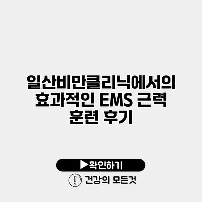 일산비만클리닉에서의 효과적인 EMS 근력 훈련 후기
