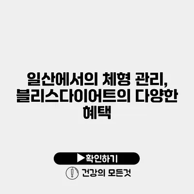 일산에서의 체형 관리, 블리스다이어트의 다양한 혜택