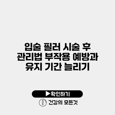 입술 필러 시술 후 관리법 부작용 예방과 유지 기간 늘리기