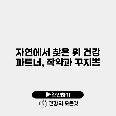 자연에서 찾은 위 건강 파트너, 작약과 꾸지뽕