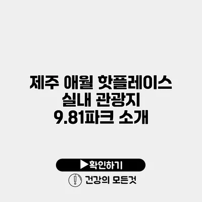 제주 애월 핫플레이스 실내 관광지 9.81파크 소개