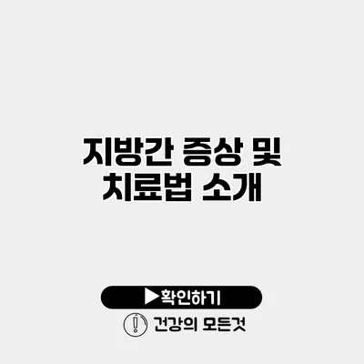 지방간 증상 및 치료법 소개