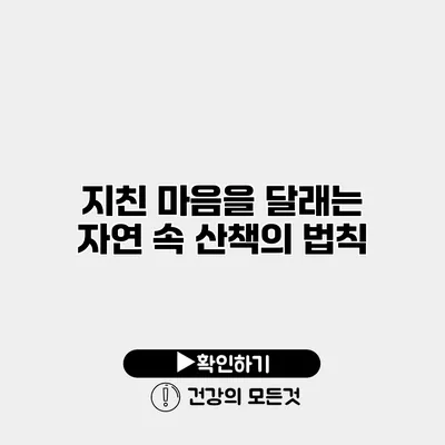 지친 마음을 달래는 자연 속 산책의 법칙