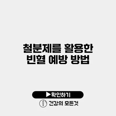 철분제를 활용한 빈혈 예방 방법