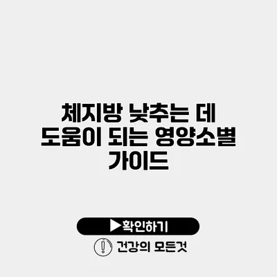 체지방 낮추는 데 도움이 되는 영양소별 가이드