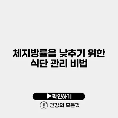 체지방률을 낮추기 위한 식단 관리 비법