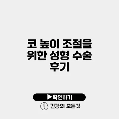 코 높이 조절을 위한 성형 수술 후기