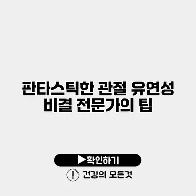 판타스틱한 관절 유연성 비결 전문가의 팁