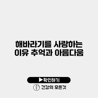 해바라기를 사랑하는 이유 추억과 아름다움