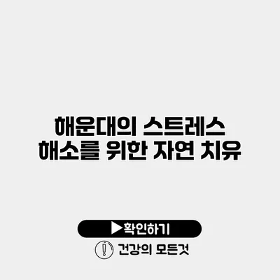 해운대의 스트레스 해소를 위한 자연 치유