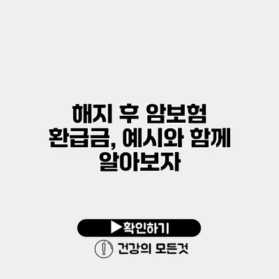 해지 후 암보험 환급금, 예시와 함께 알아보자