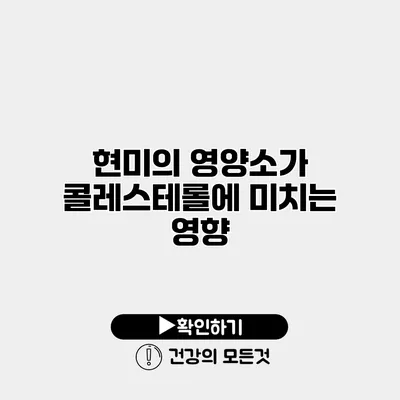 현미의 영양소가 콜레스테롤에 미치는 영향