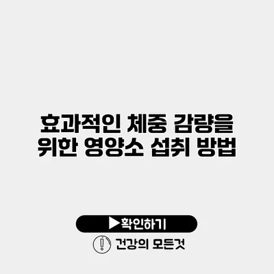 효과적인 체중 감량을 위한 영양소 섭취 방법