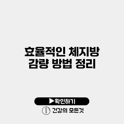 효율적인 체지방 감량 방법 정리