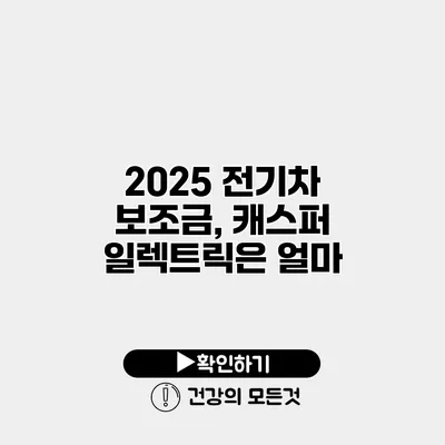 2025 전기차 보조금, 캐스퍼 일렉트릭은 얼마?