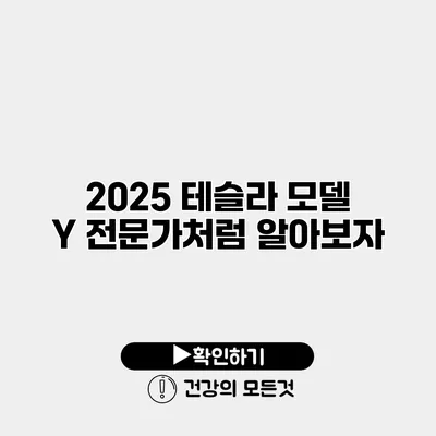2025 테슬라 모델 Y 전문가처럼 알아보자