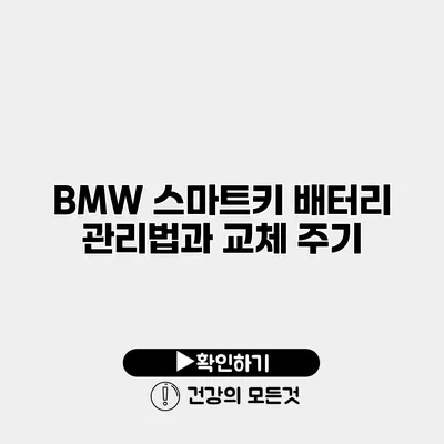 BMW 스마트키 배터리 관리법과 교체 주기