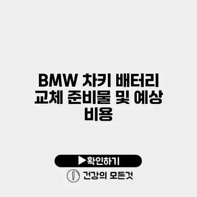 BMW 차키 배터리 교체 준비물 및 예상 비용